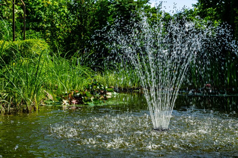 Fountain Leak Detection